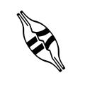 Relajantes musculares