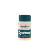 Cystone 446 mg comprimidos