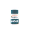 Gasex 100 comprimidos